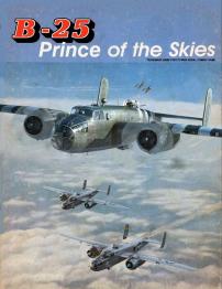 B-25 Prince of the Skies - obrázek