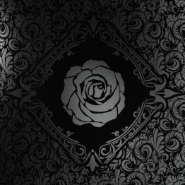 Black Rose Wars Rebirth - KS core box