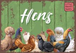Hens - obrázek
