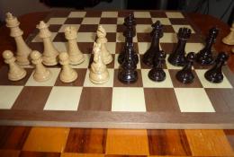 Kasparov Championship Chess Set - figurky
