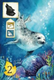 Meadow: Seal Promo Card - obrázek