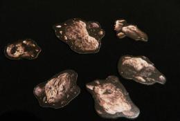 Žetony meteoritů