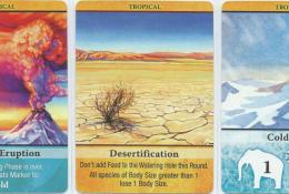 climate cards - tropical2