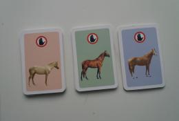 3 skupiny koní 