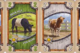 Karty kráv hráče (žlutý)