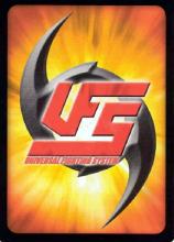 Universal Fighting System: Street Fighter - obrázek