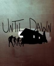 Until Dawn - obrázek