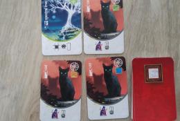 karty dekorace a kočka
