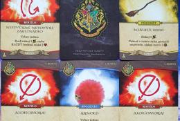Harry Potter Boj o Bradavice - Lektvary a zaklínadla - Ukázka karet Ginny