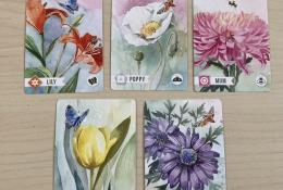 Karty květin - ukázka druhů i barev