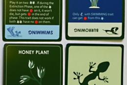 2 karty rysů rostlin + rub