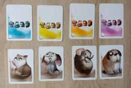 Karty barev a karty zvířátek (tajné úkoly)