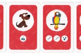 Výběr z celkem 13 karet zvířecích pacientů