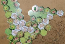 Laplatská válka - mapa pro 3 hráče, začátek hry