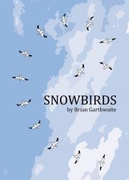 Snowbirds - obrázek