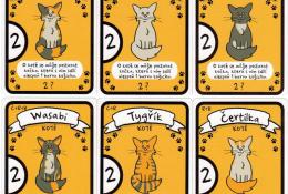 Vybraných šest karet z celkových osmnácti koťat