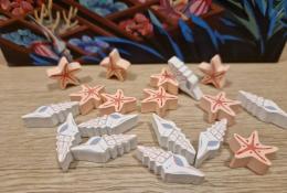 Starfishes, Conches