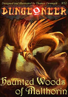 Dungeoneer: Haunted Woods of Malthorin - obrázek