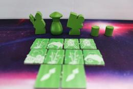Tokaido Duo - Herní komponenty zeleného hráče