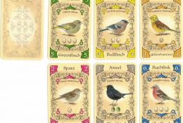Karty ptáků