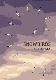 Snowbirds: Sunset Sky - obrázek