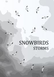 Snowbirds: Storms - obrázek