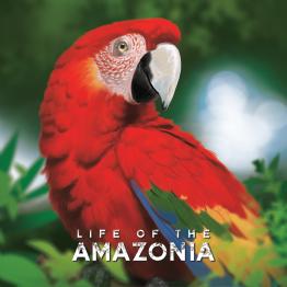 Life of the Amazonia - obrázek