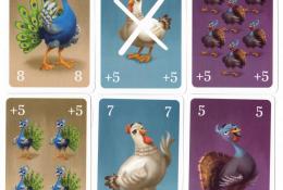 Ukázka bonusových karet a výstavních ptáků