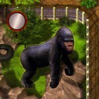 Zooloretto: The Gorilla - obrázek
