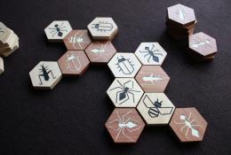 DIY kameny z javorového a švestkového dřeva s přepracovanou grafikou hmyzu - Hra