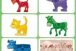 Výběr z celkem 25 karet se zvířaty (všech pět druhů zvířat ve všech pěti barvách) + rubová strana