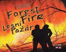 Lesní Požár - obrázek