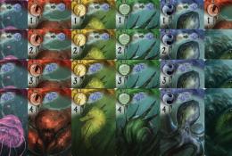 Allies cards + 3x Monsters cards (z každé barvy 4 speciální spojenci + 1x jedničkový krab navíc)