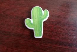 Kaktus (= 1 bod)