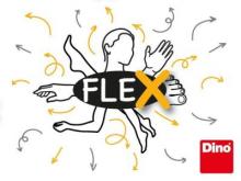 Flex - obrázek